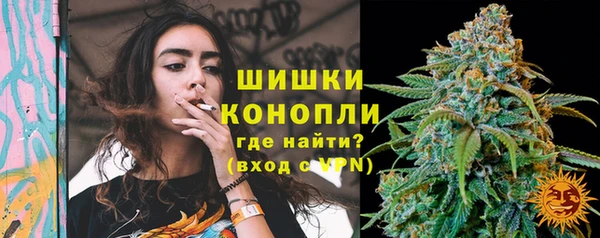 спайс Алзамай